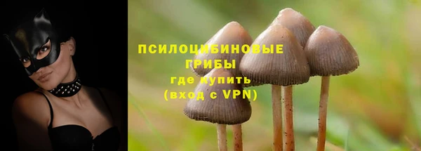 дживик Абаза