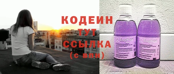 дживик Абаза