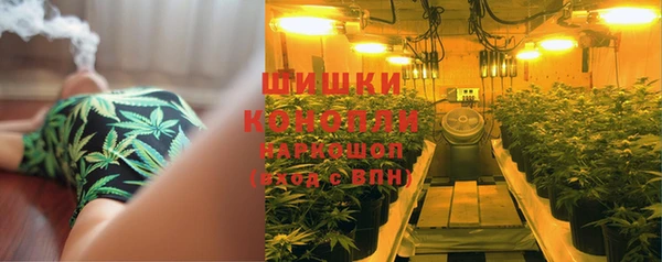 шишки Осинники